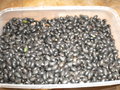 graines - Découvrons les graines des plantes ! GBPIX_vignette_546786