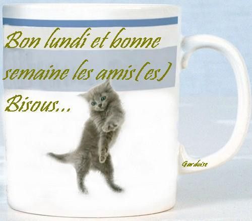 tres bon lundi a vous tous 3990b0fc