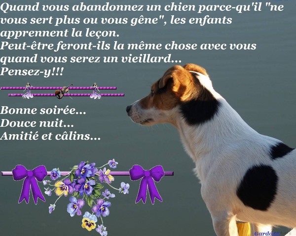 bonne nuit !!! - Page 7 7ad297e9