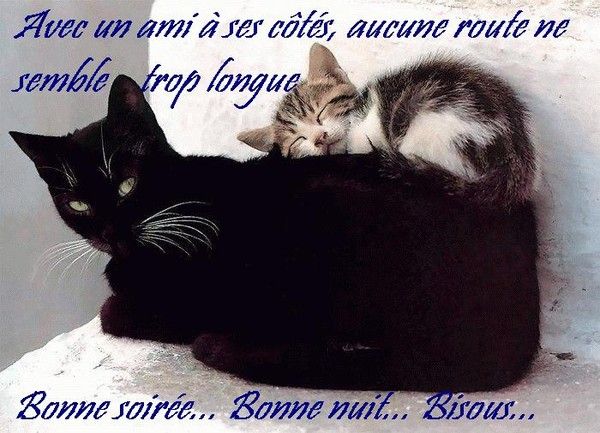  Ƹ̵̡Ӝ̵̨̄Ʒ ♥ Bonjour...Bonsoir...Quoi de neuf??? ♥ Ƹ̵̡Ӝ̵̨̄Ʒ  - Page 40 7f7f7a30