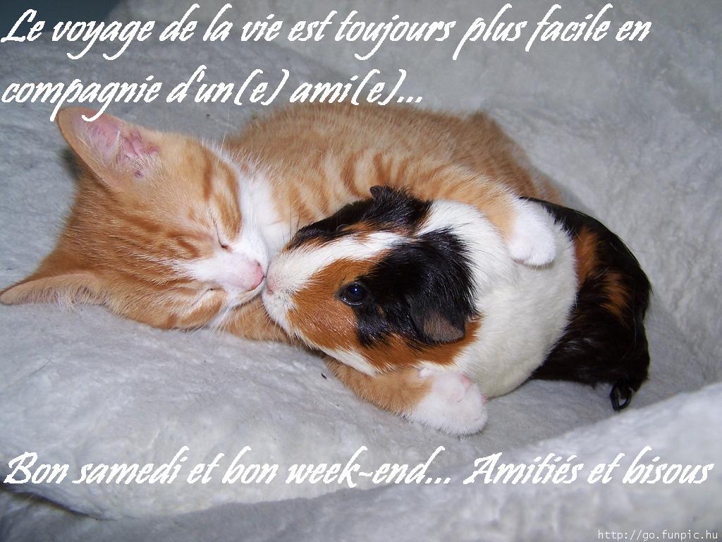 ici les citations et motivations pour vous tous - Page 2 2ff4cbfe