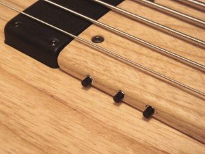 Mlaghus fretless do Alexandre Montenegro Rampswitches-300x225