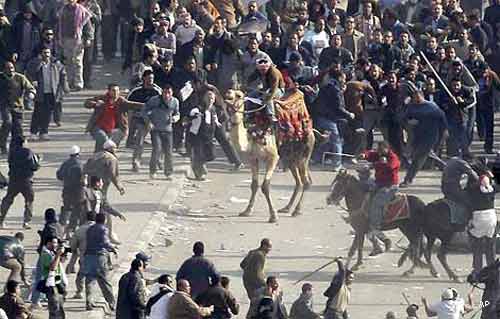 قُتلوا تحت أقدام الجمال.. بالصور "بوابة الأهرام" تستعيد مع القراء لحظات الموت يوم 2 فبراير 2012-634854942881045905-104