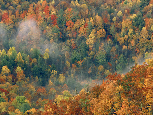 صور جميلة جميلة جميله جداً صور حلوه للحلوين فقط Autumn_27