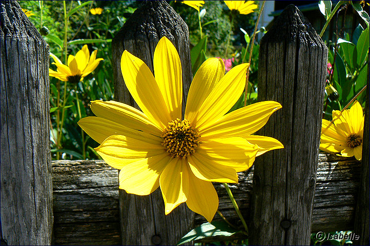 D’Oberammergau à Garmisch-Partenkirchen Oberammergau-garmich06aout09_05