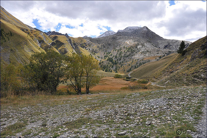 Le vallon du Lauzanier par le camp des fourches et col de la Bonette Vallon_de_lauzanier26sept10_13