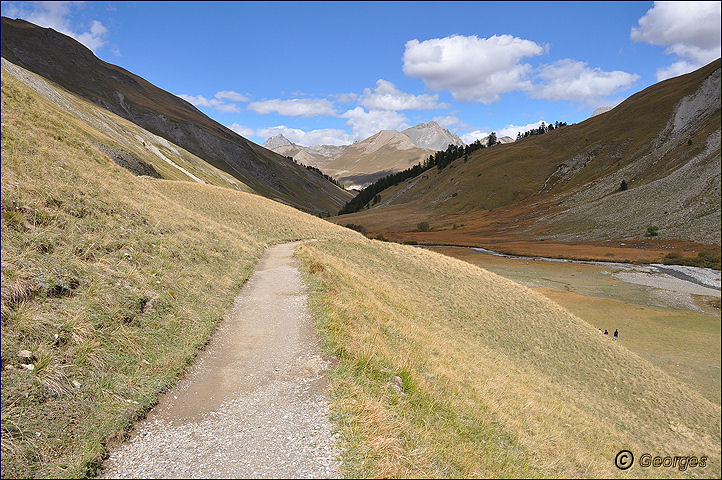 Le vallon du Lauzanier par le camp des fourches et col de la Bonette Vallon_de_lauzanier26sept10_14