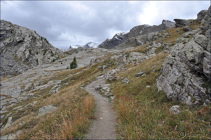 Le vallon du Lauzanier par le camp des fourches et col de la Bonette Vallon_de_lauzanier26sept10_18