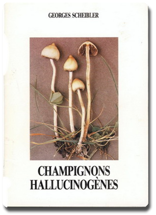 Les champignons et autres plantes Vign_psylocybe_ws1003091415