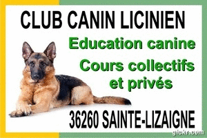 zz18. SAINTE-LIZAIGNE (Indre ) - CLUB CANIN LUCINIEN - Education canine Anim_d4c22f95-957a-8b34-b5e9-11df1f574b1e