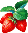 Confiture de fraises rouges et blanches,au mélange pain d'épices + photos. Recette-281