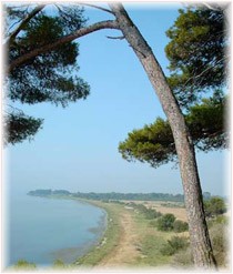 camargue et etang de thau 26 et 27 septembre THAU-02