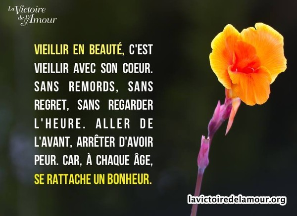 Autres petites citations 6e116473