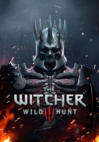 THE jeu ^^ The-witcher-3-wild-hunt-traque-sauvage-14-06-2014-artwork-1_00CE012600708772