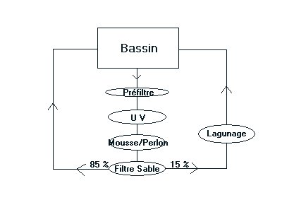 aquarium bassin sous serre Filtration