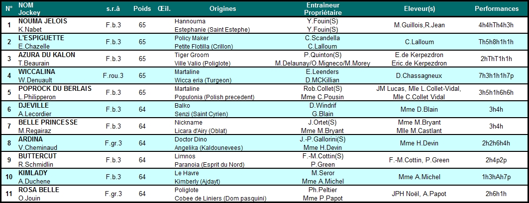 Prix Bournosienne 2014 (H., Gr.III, Auteuil) 1-11 : Azura du Kalon Bournosienne2014