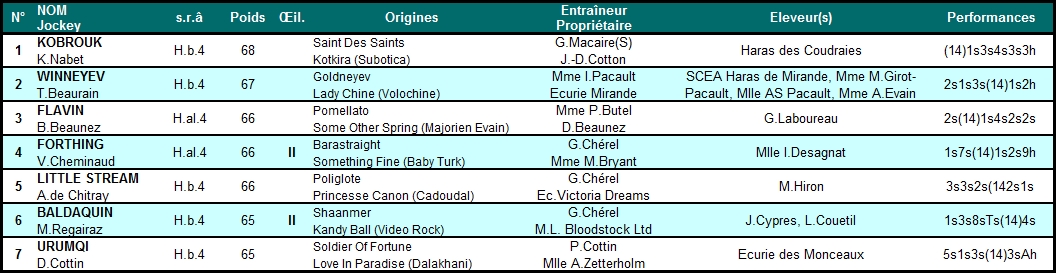 Prix Duc d'Anjou 2015 (St., Gr.III, Auteuil) 8-03 : Winneyev DucDAnjou2015