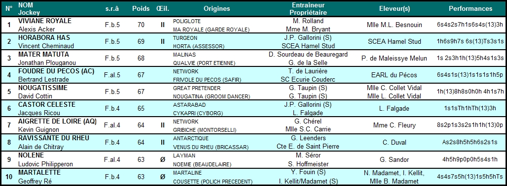 Prix Sytaj 2014 (St., Gr.III, Auteuil) 9-11 : Mater Matuta Sytaj2014