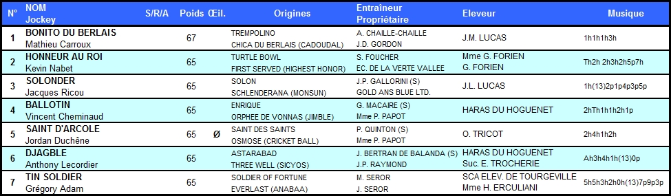 Prix Georges de Talhouet-Roy 2014 (Gr.II, Haies, Auteuil) 12-10 : Bonito du Berlais TalhouetRoy2014