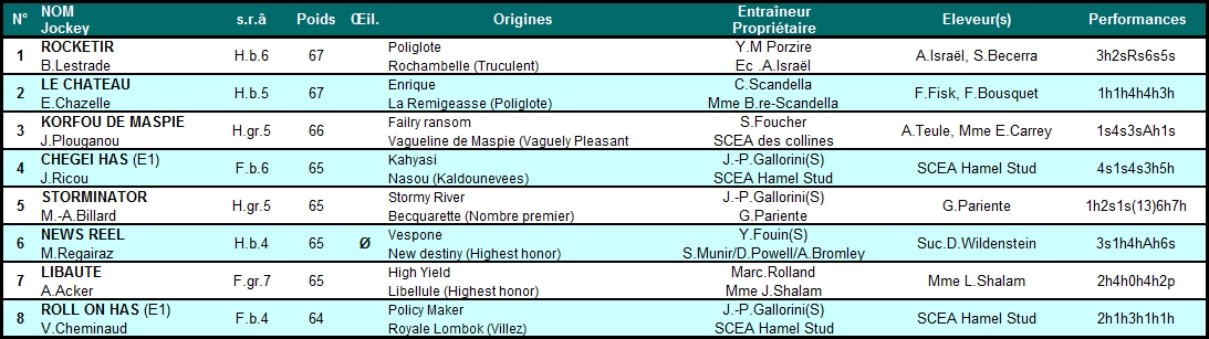 Prix Léopold d'Orsetti - Grande Course de Haies d'Enghien 2014 (H., Gr.III, Enghien) 19-11 : Storminator Dorsetti2014