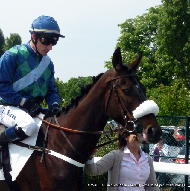 Prix James Hennessy 2014 (Steeple, Listed, Auteuil) 4-05 : Geluroni Beware