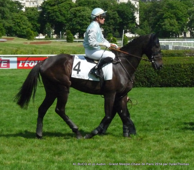 Grand Steeple Chase de Paris 2014 (St., Gr.I, Auteuil) 18-05 : Storm of Saintly AlBucq