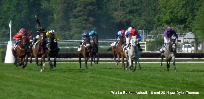 Prix La Barka 2014 (H., Gr.II, Auteuil) 18-05 : Thousand stars LaBarka2