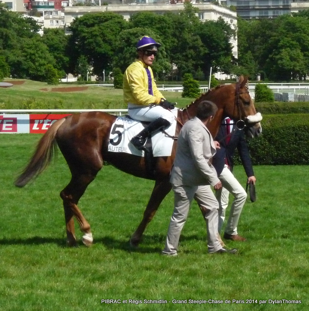 Grand Steeple Chase de Paris 2014 (St., Gr.I, Auteuil) 18-05 : Storm of Saintly Pibrac