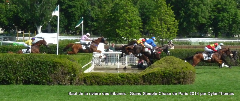 Grand Steeple Chase de Paris 2014 (St., Gr.I, Auteuil) 18-05 : Storm of Saintly - Page 2 RivGS2