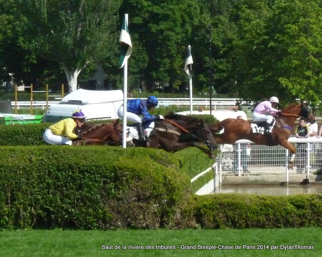 Grand Steeple Chase de Paris 2014 (St., Gr.I, Auteuil) 18-05 : Storm of Saintly - Page 2 RivGS3