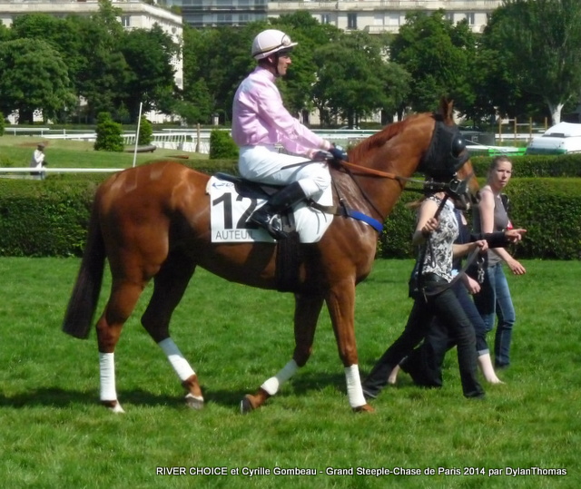 Grand Steeple Chase de Paris 2014 (St., Gr.I, Auteuil) 18-05 : Storm of Saintly - Page 2 RiverChoice