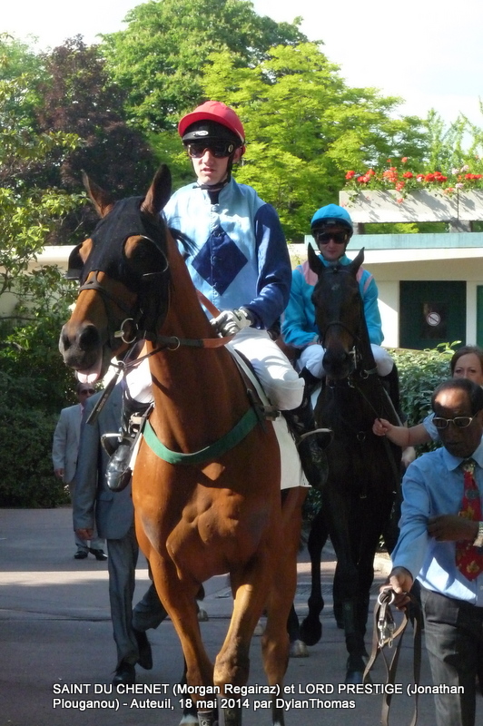 Prix La Barka 2014 (H., Gr.II, Auteuil) 18-05 : Thousand stars SaintLord