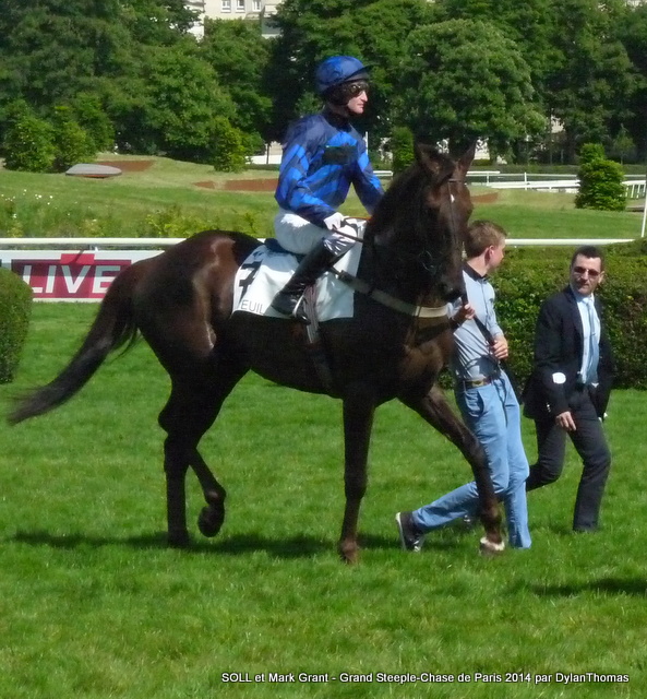 Grand Steeple Chase de Paris 2014 (St., Gr.I, Auteuil) 18-05 : Storm of Saintly - Page 2 Soll