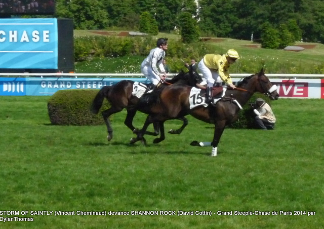 Grand Steeple Chase de Paris 2014 (St., Gr.I, Auteuil) 18-05 : Storm of Saintly - Page 2 StormShannon