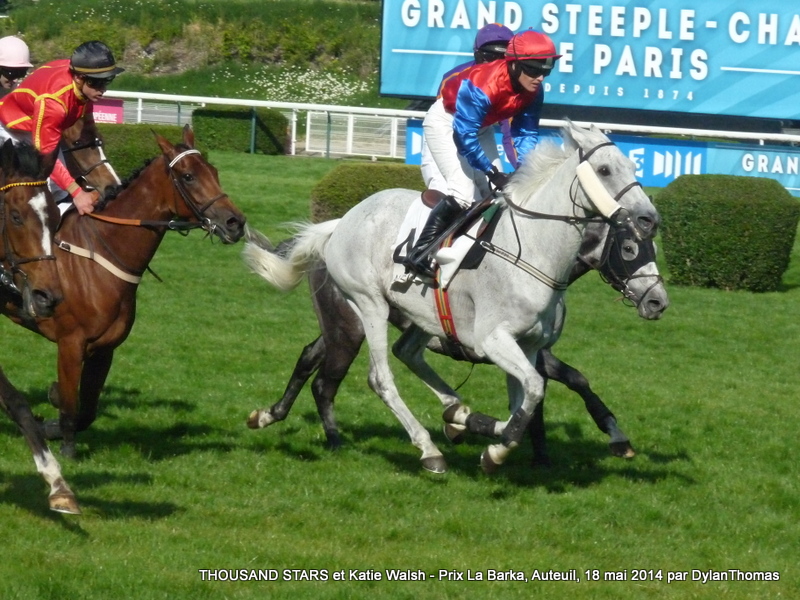 Prix La Barka 2014 (H., Gr.II, Auteuil) 18-05 : Thousand stars Thousand2