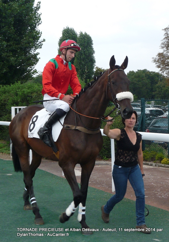 Prix Richard et Robert Hennessy 2014 (St., L., Auteuil) 11-09 : Princesse Kap Tornade1