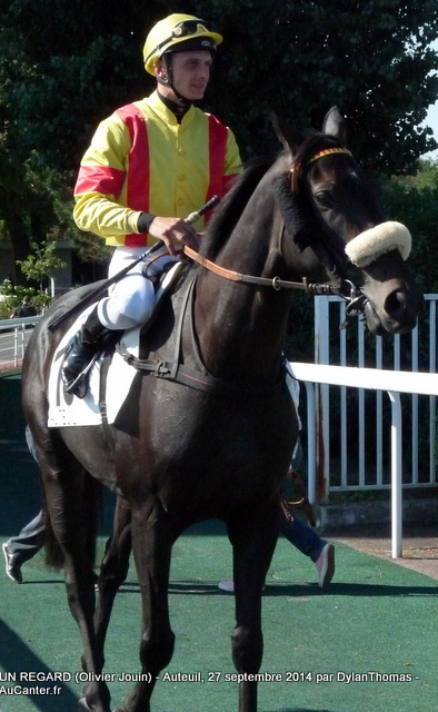 Prix Violon II 2014 (St., L., Auteuil) 27-09 : Ultra Lucky Violon11