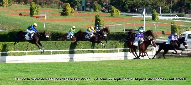 Prix Violon II 2014 (St., L., Auteuil) 27-09 : Ultra Lucky Violon12