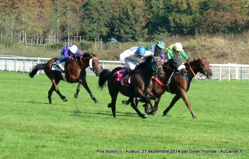 Prix Violon II 2014 (St., L., Auteuil) 27-09 : Ultra Lucky Violon15