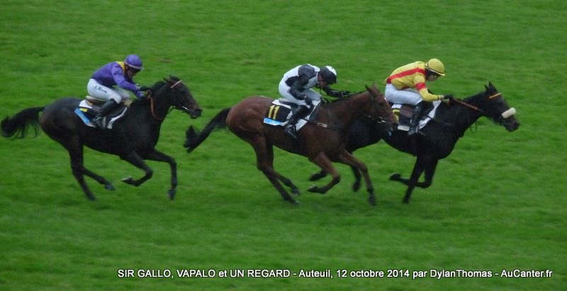 Photos Auteuil 12-10-2014 AndreAdele2