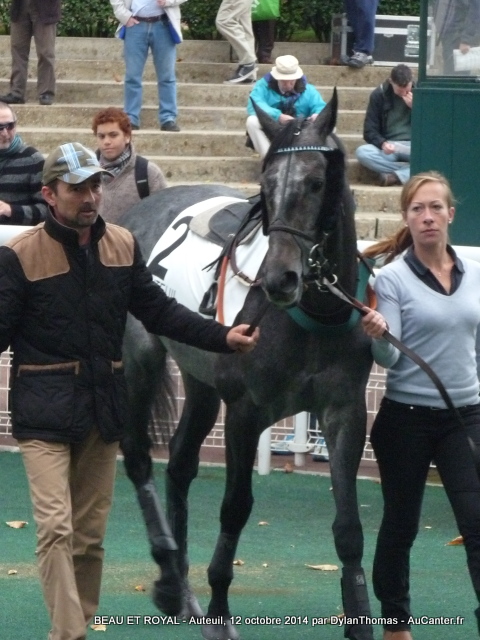 Photos Auteuil 12-10-2014 Beau1