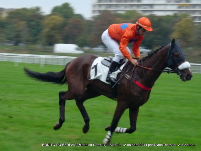 Photos Auteuil 12-10-2014 Bonito