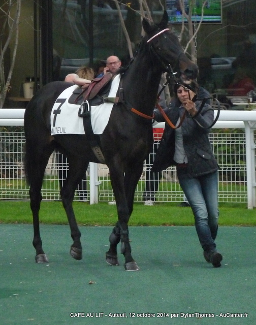 Photos Auteuil 12-10-2014 Cafe1