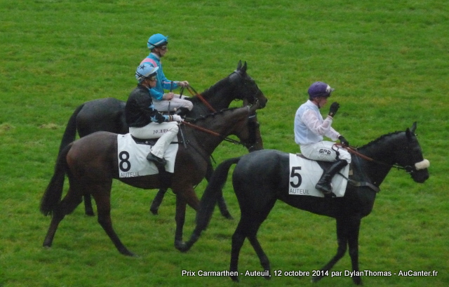 Photos Auteuil 12-10-2014 Carmarthen1