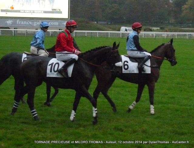 Photos Auteuil 12-10-2014 Heros1