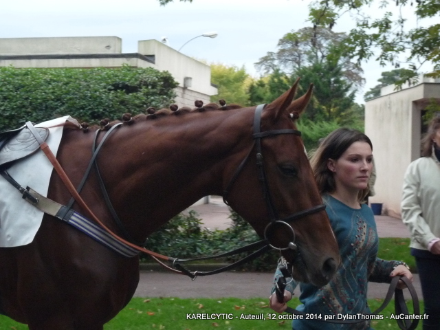 Photos Auteuil 12-10-2014 Karel3