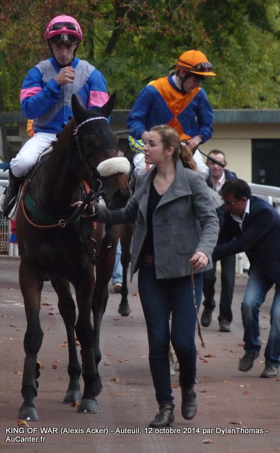 Photos Auteuil 12-10-2014 KingOfWar