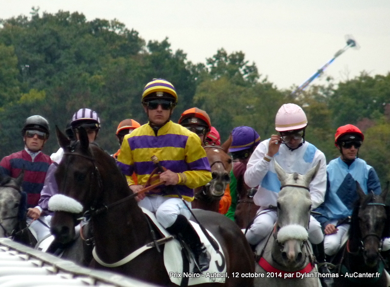 Photos Auteuil 12-10-2014 Noiro1