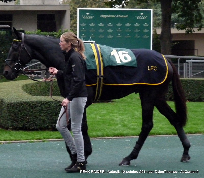 Photos Auteuil 12-10-2014 PeakRaider