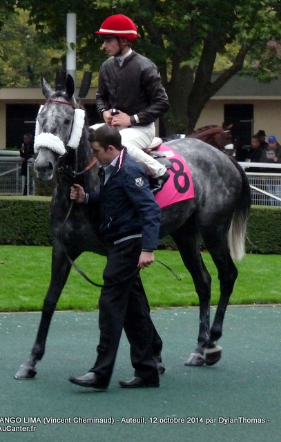 Photos Auteuil 12-10-2014 TangoLima